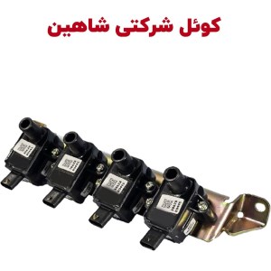 کوئل شاهین کامل شرکتی